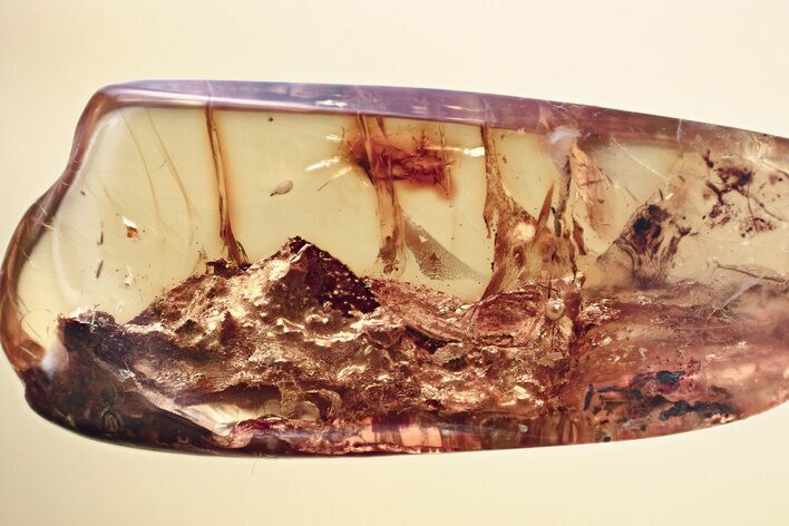 Fossil Bark Fragment In Baltic Amber #367518